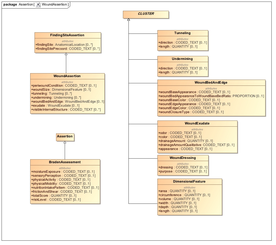 Class_Diagram__Assertion__WoundAssertion.jpg